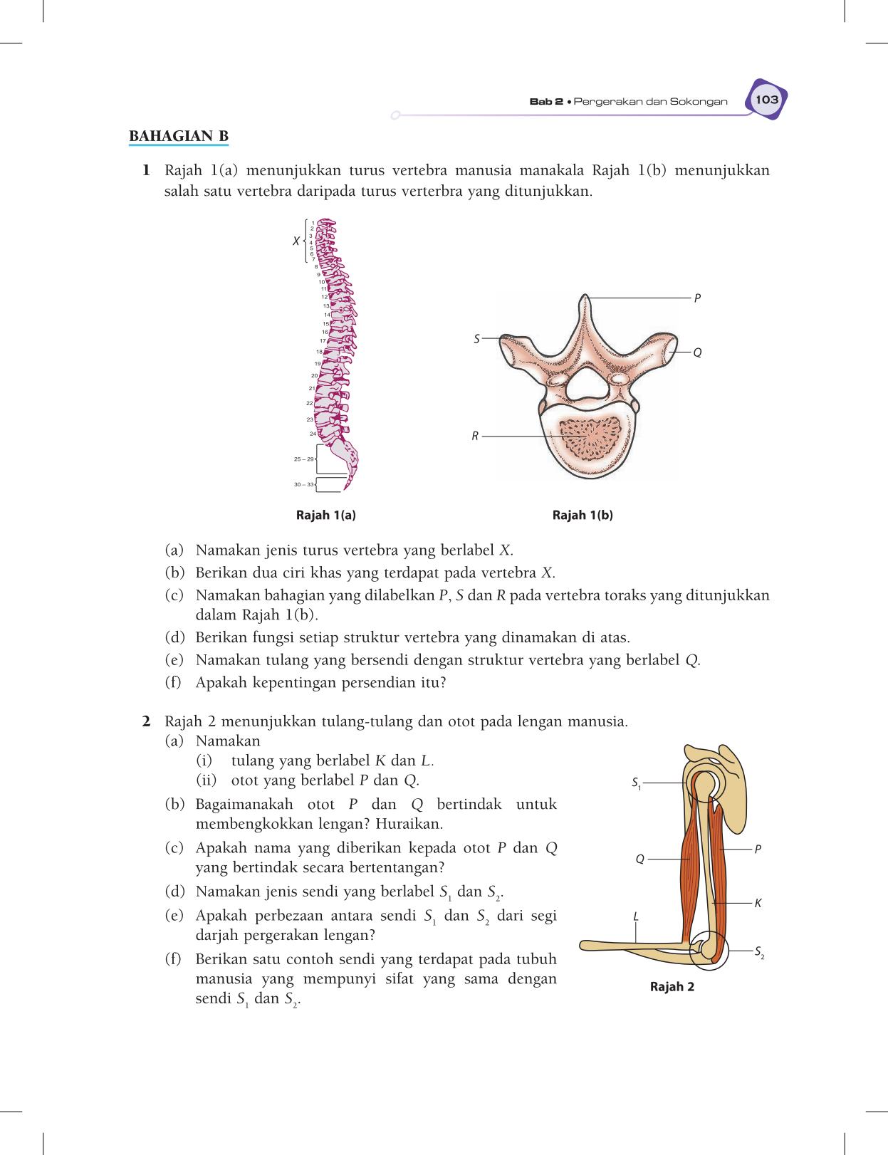 T5 : Biology TB BM Page115