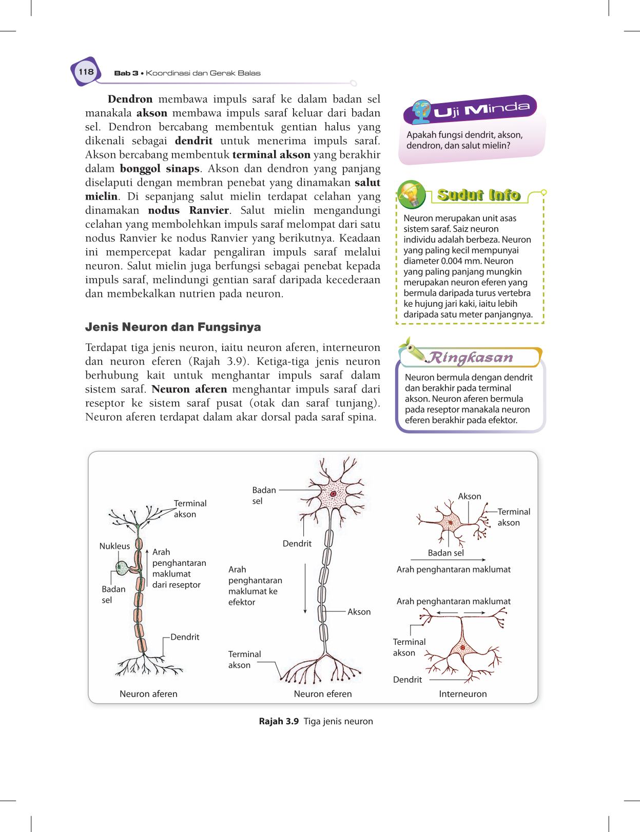 T5 : Biology TB BM Page130