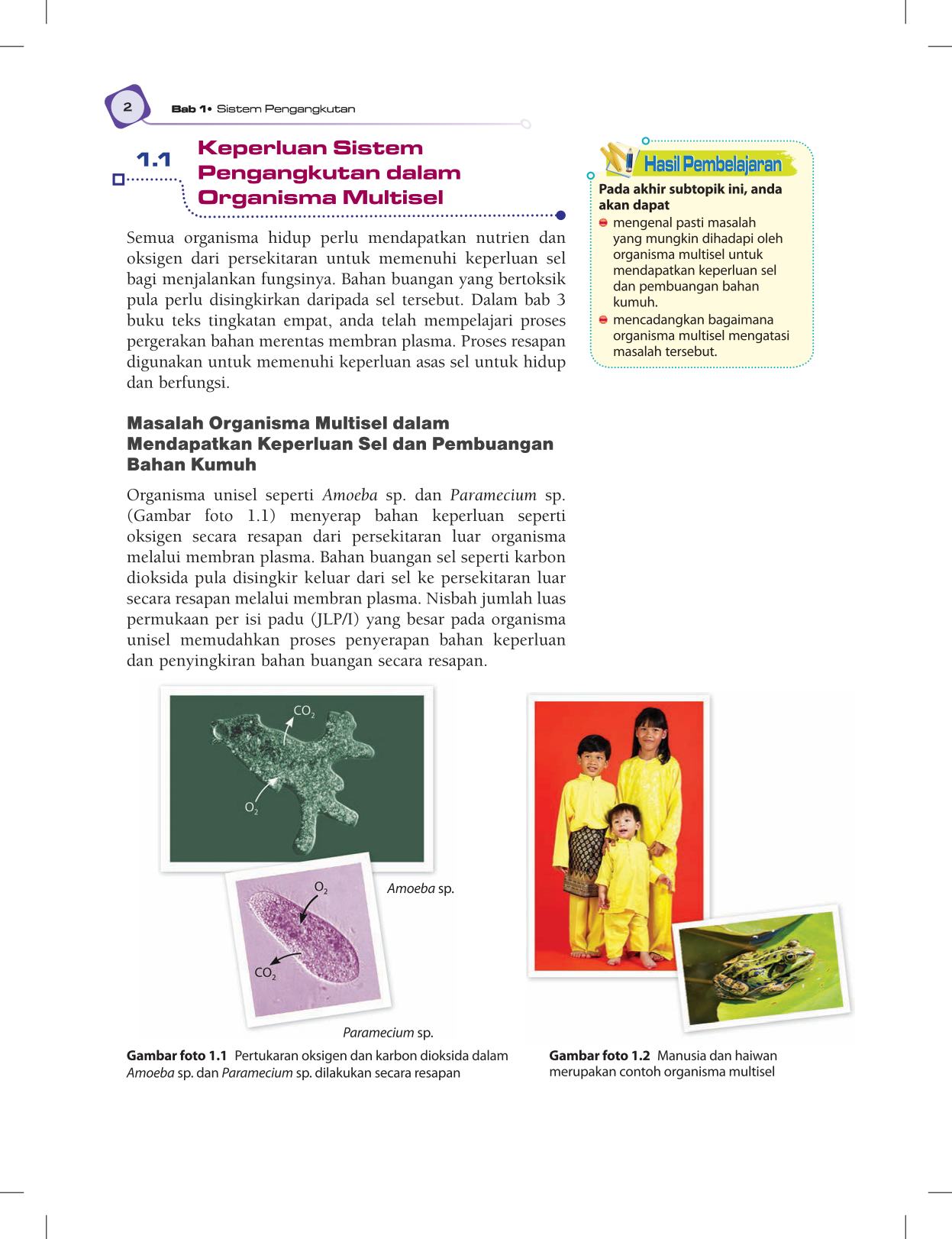 T5 : Biology TB BM Page14