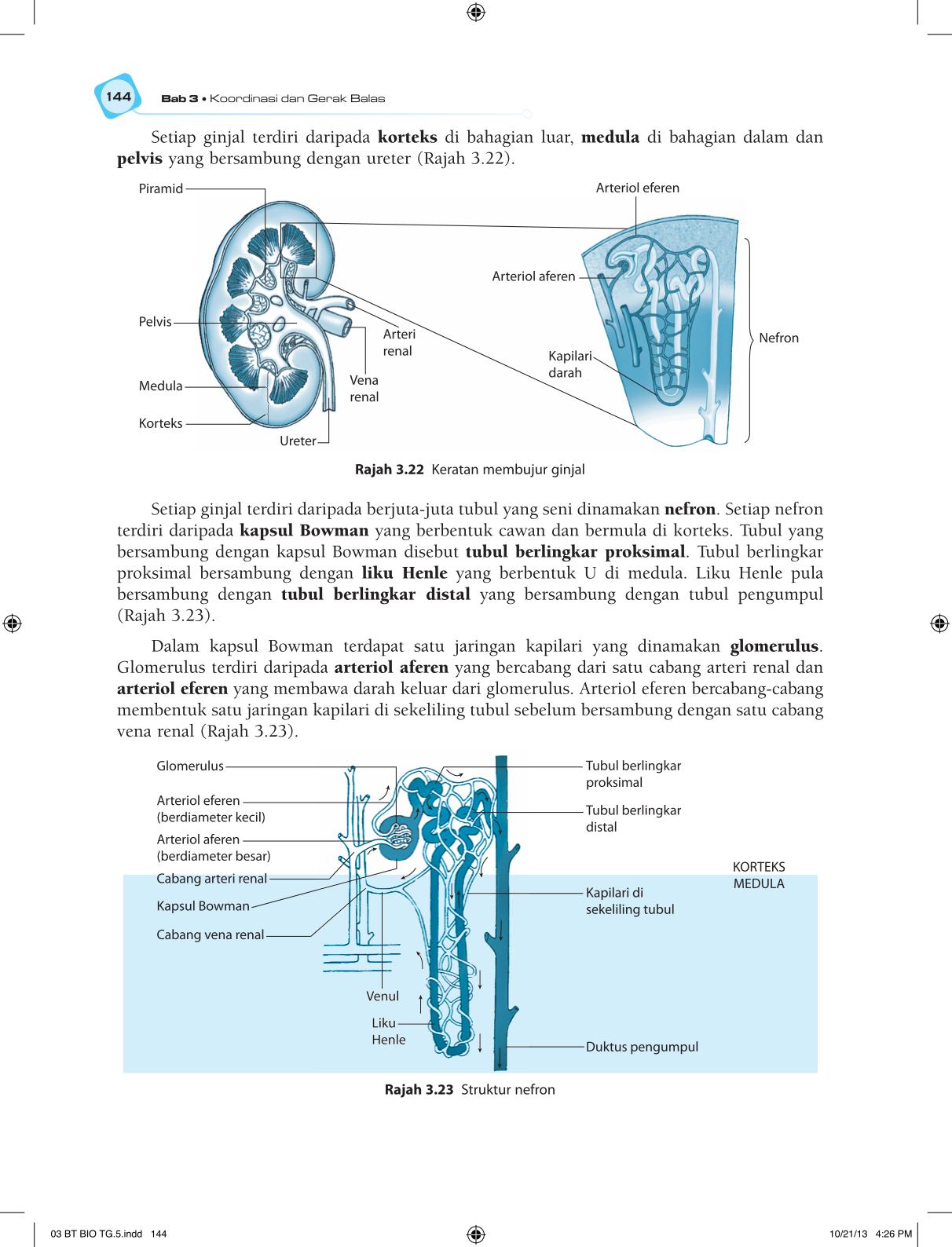 T5 : Biology TB BM Page156