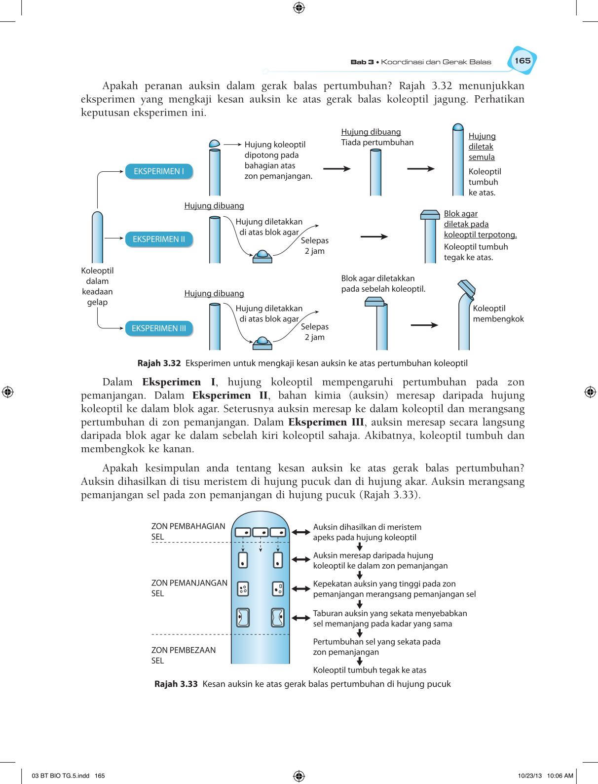 T5 : Biology TB BM Page177