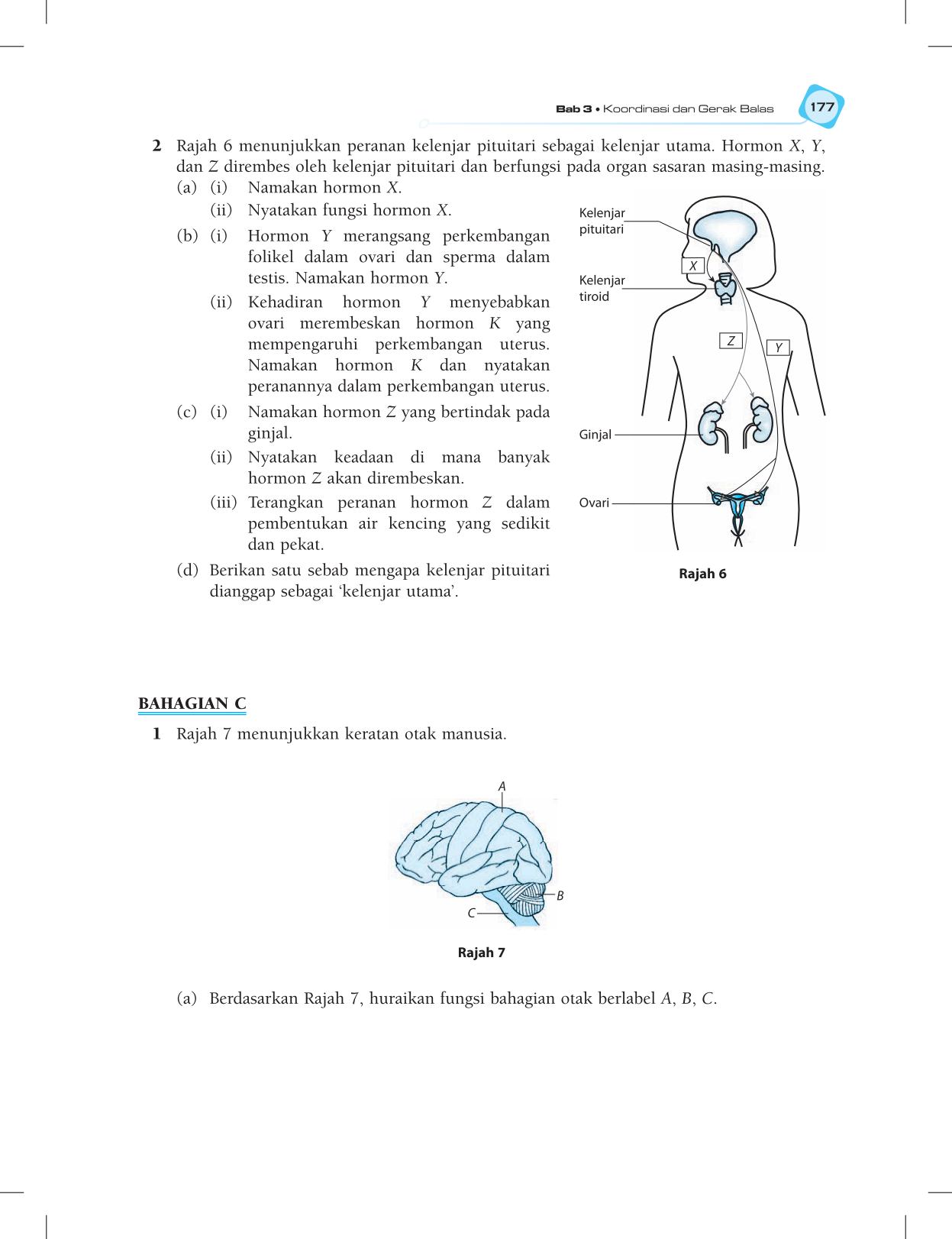 T5 : Biology TB BM Page189