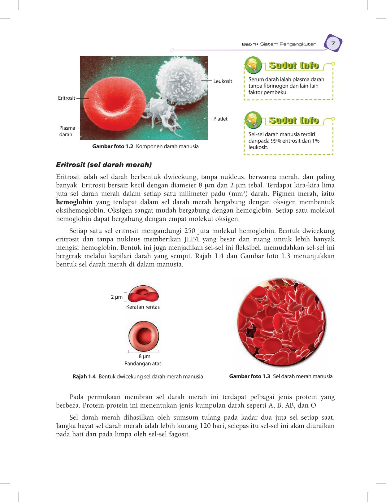T5 : Biology TB BM Page19