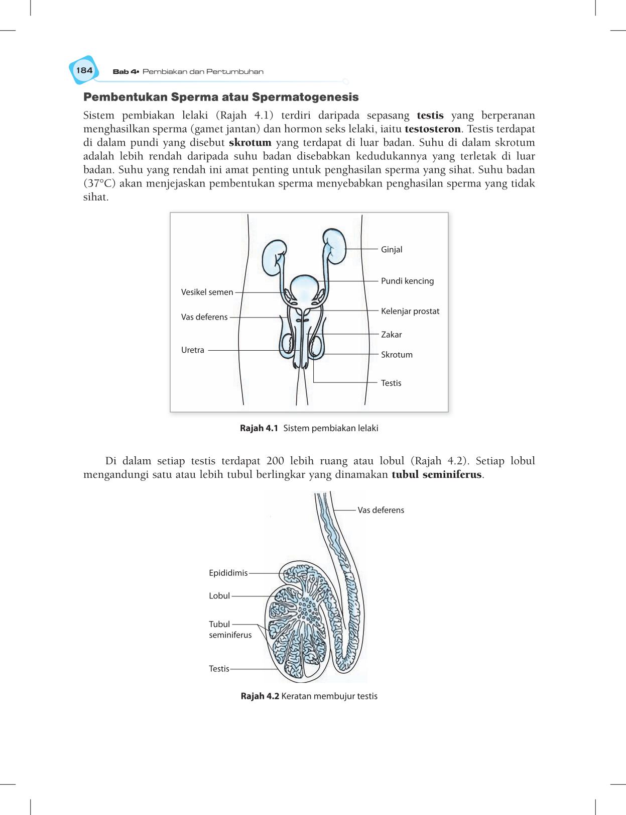T5 : Biology TB BM Page196