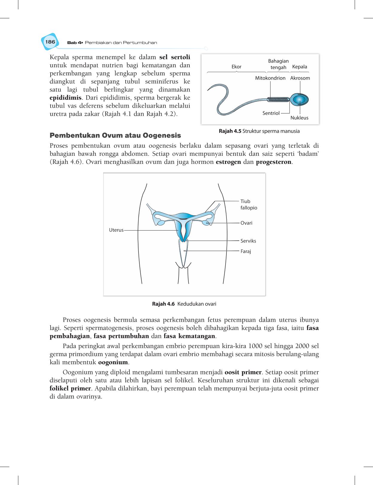 T5 : Biology TB BM Page198