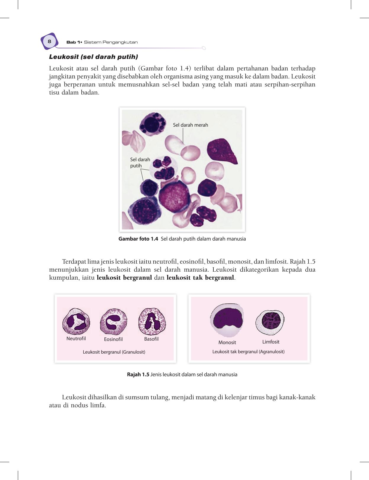 T5 : Biology TB BM Page20
