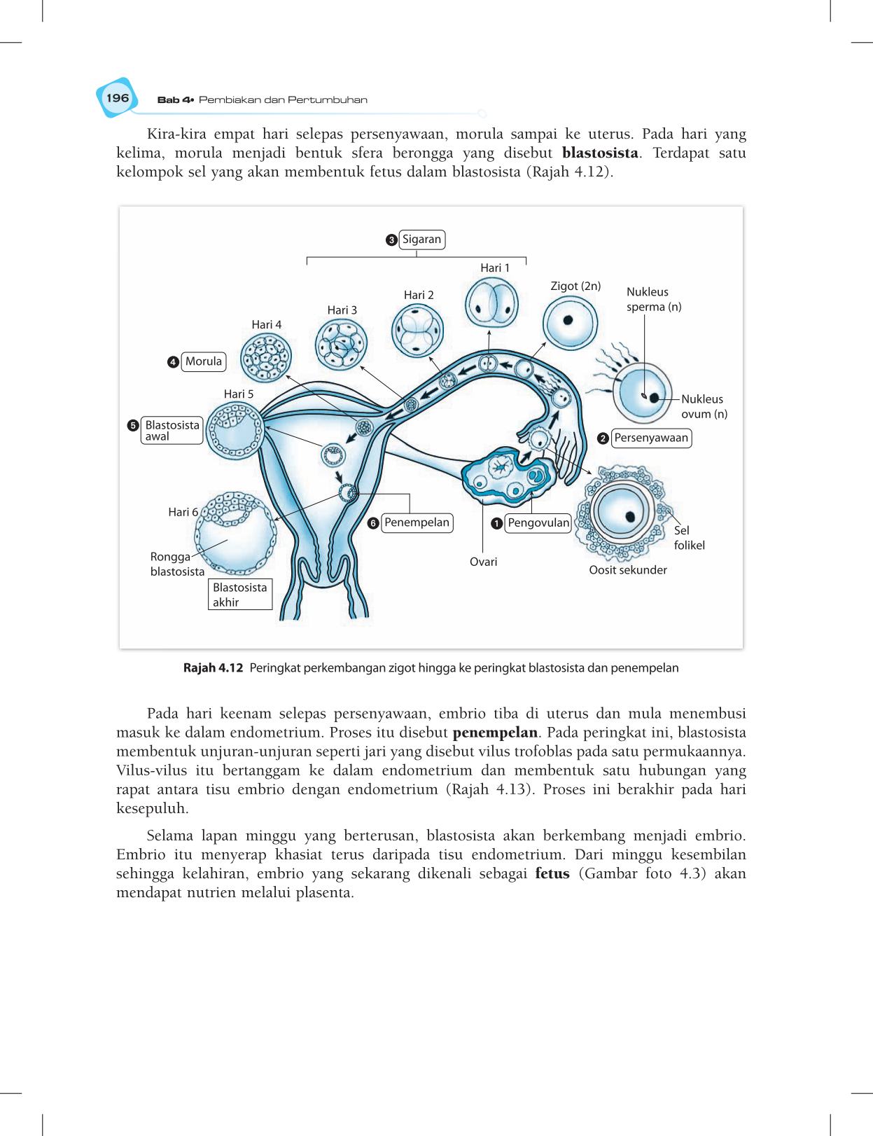T5 : Biology TB BM Page208