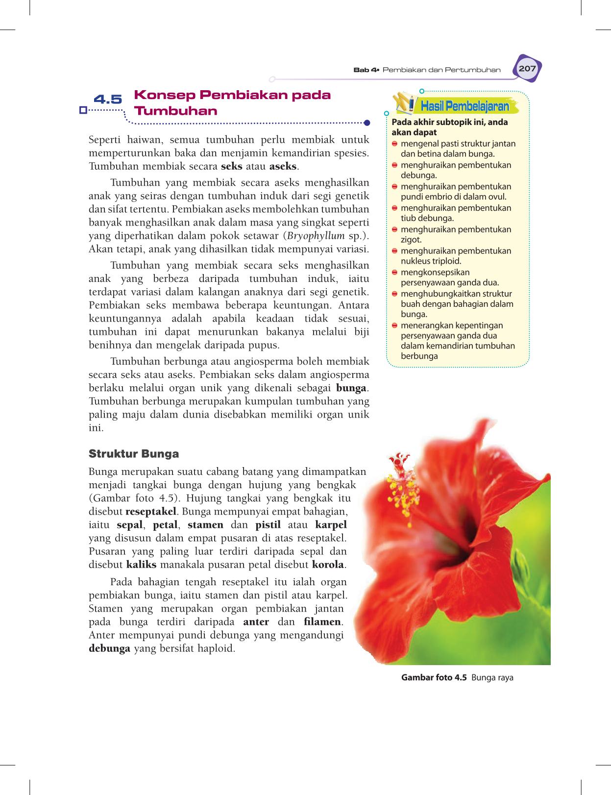 T5 : Biology TB BM Page219