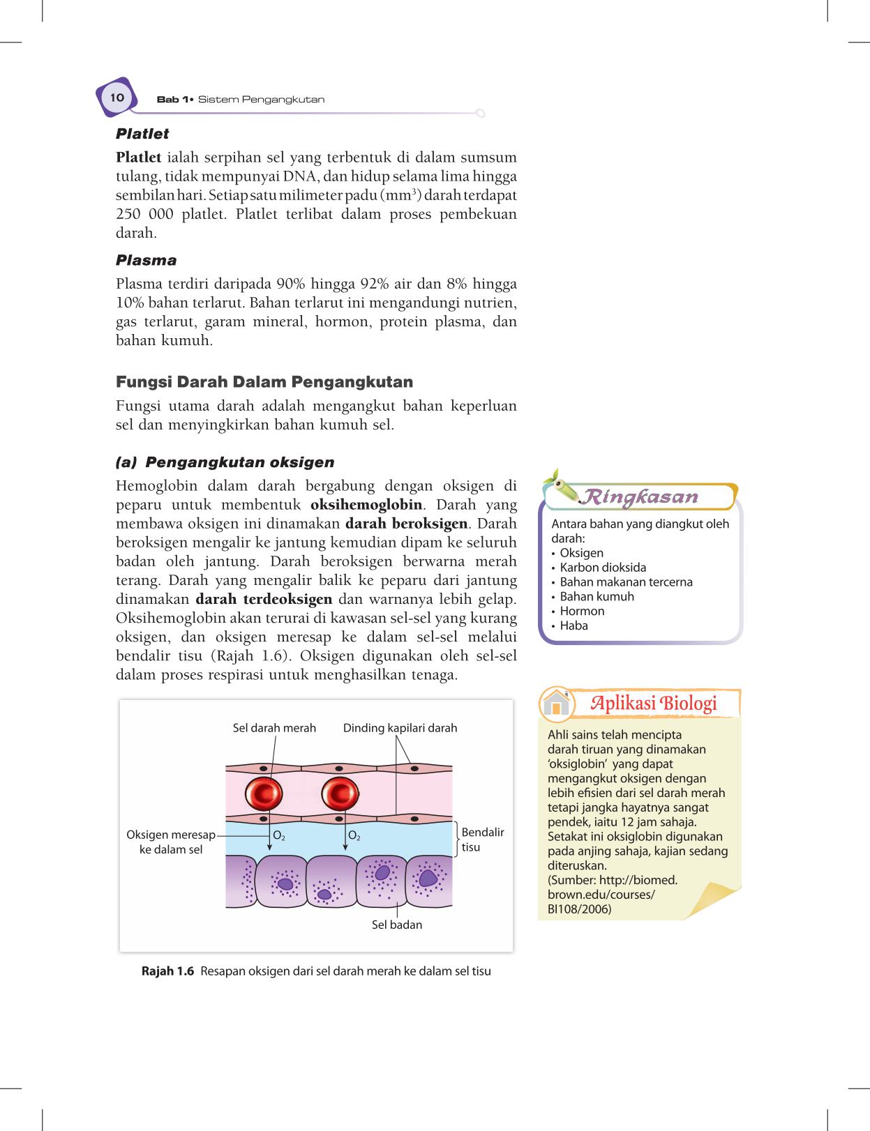 T5 : Biology TB BM Page22