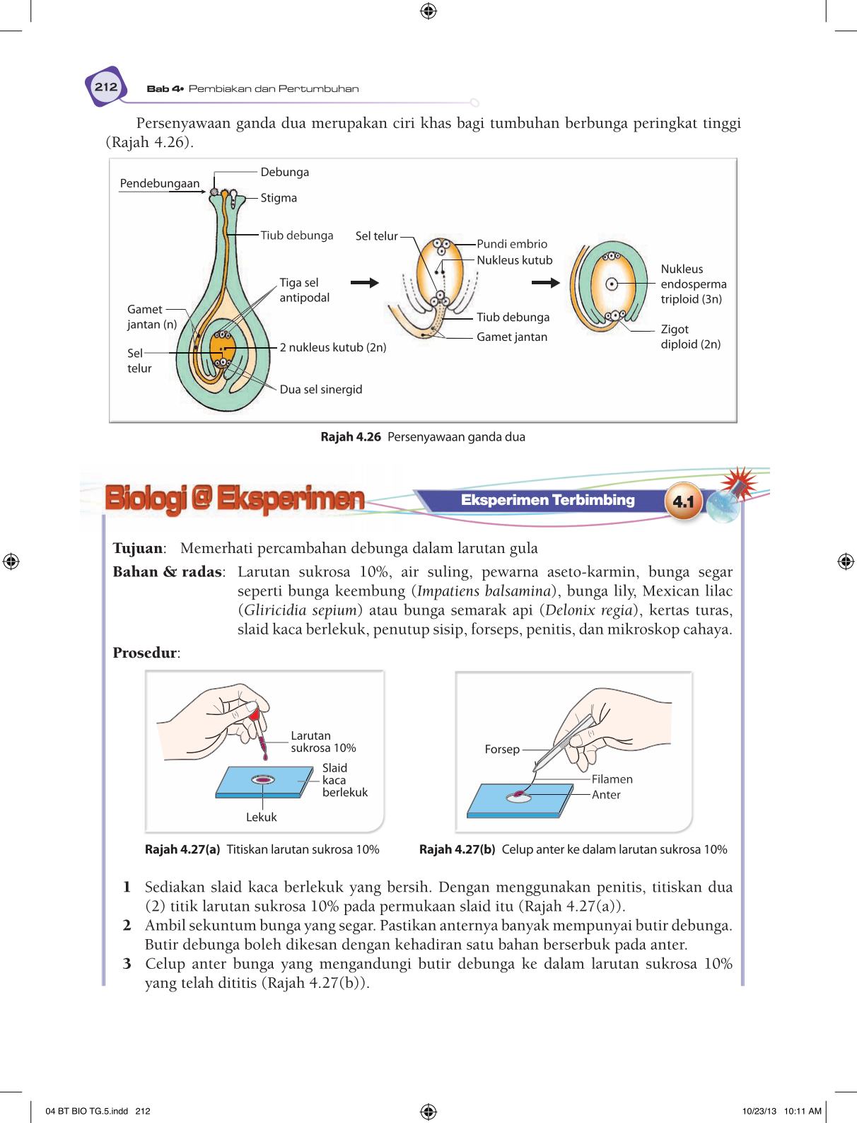 T5 : Biology TB BM Page224
