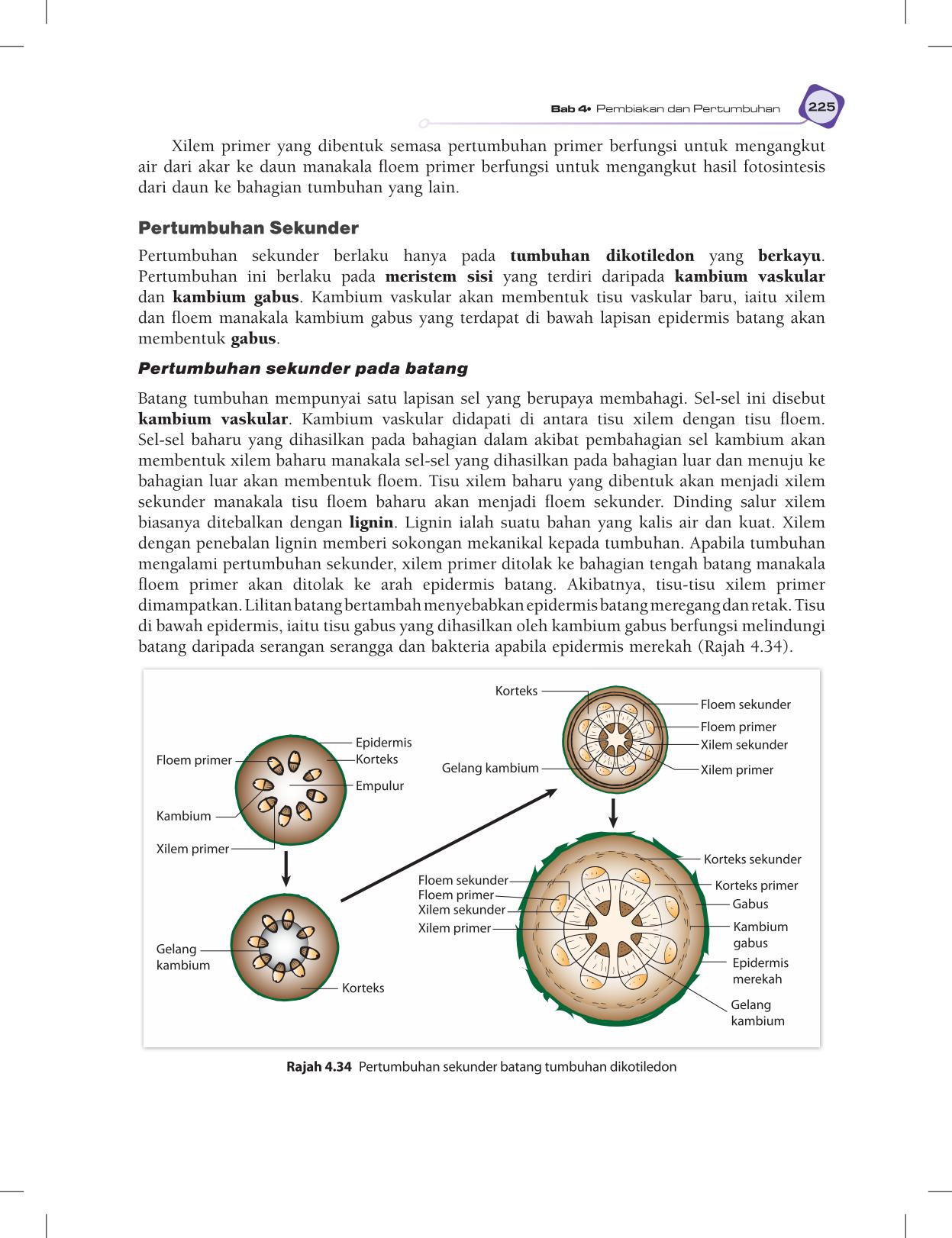 T5 : Biology TB BM Page237