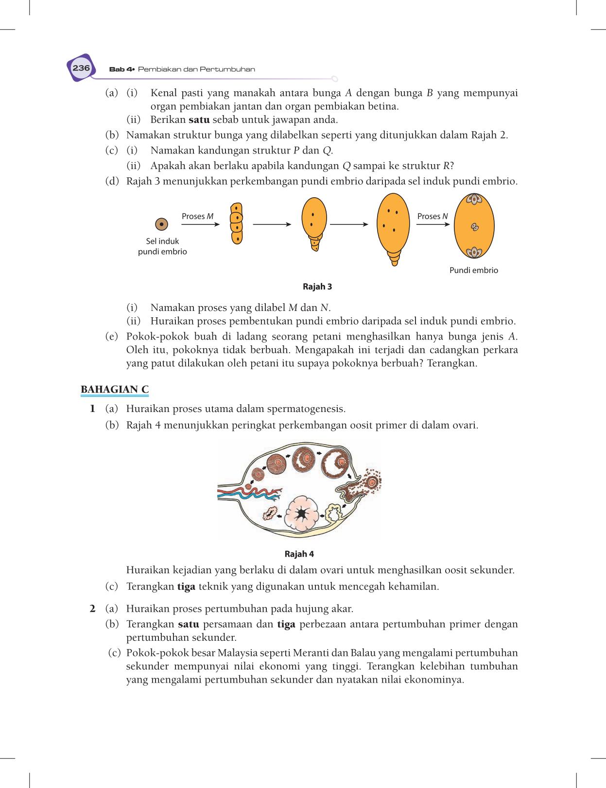 T5 : Biology TB BM Page248