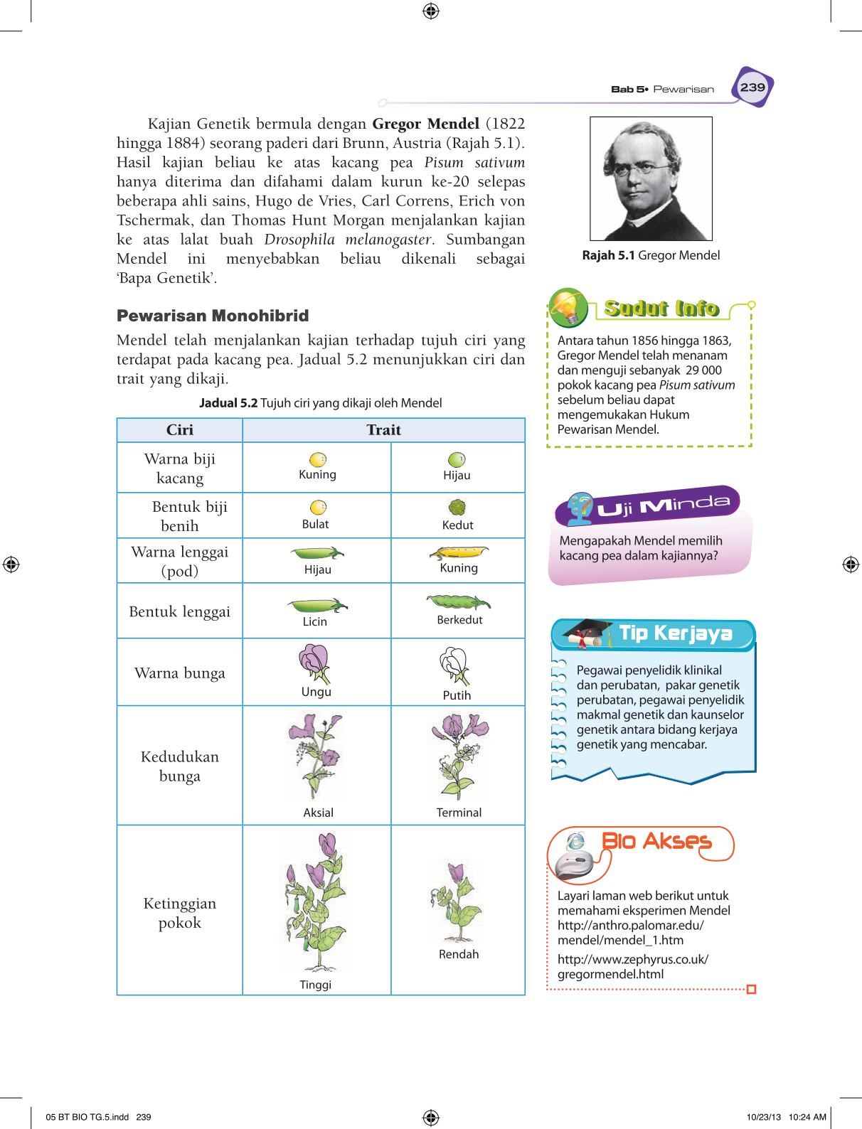 T5 : Biology TB BM Page251