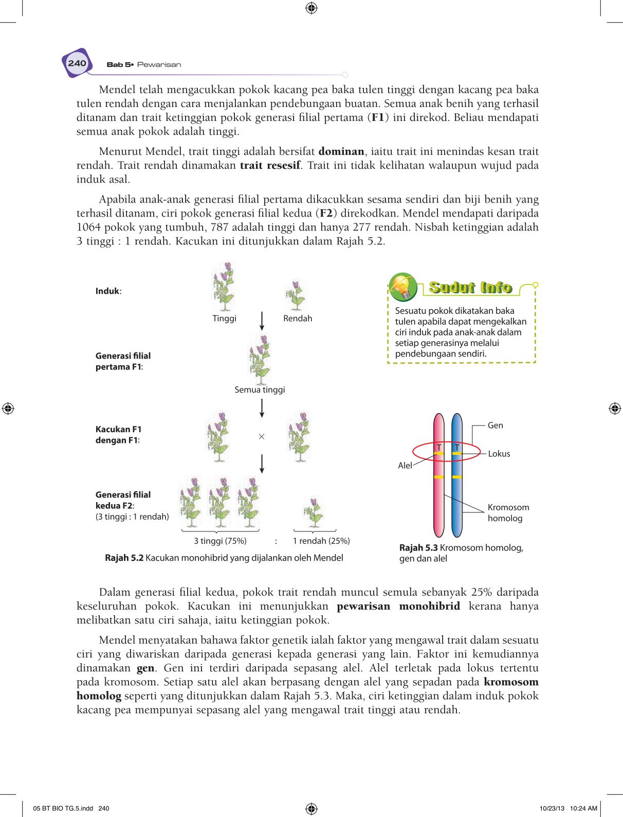 T5 : Biology TB BM Page252