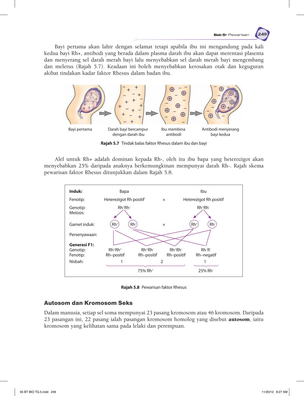 T5 : Biology TB BM Page261
