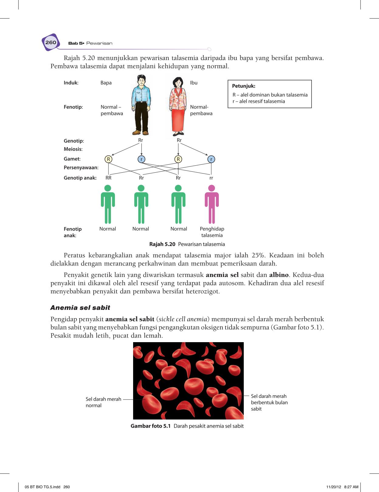 T5 : Biology TB BM Page272