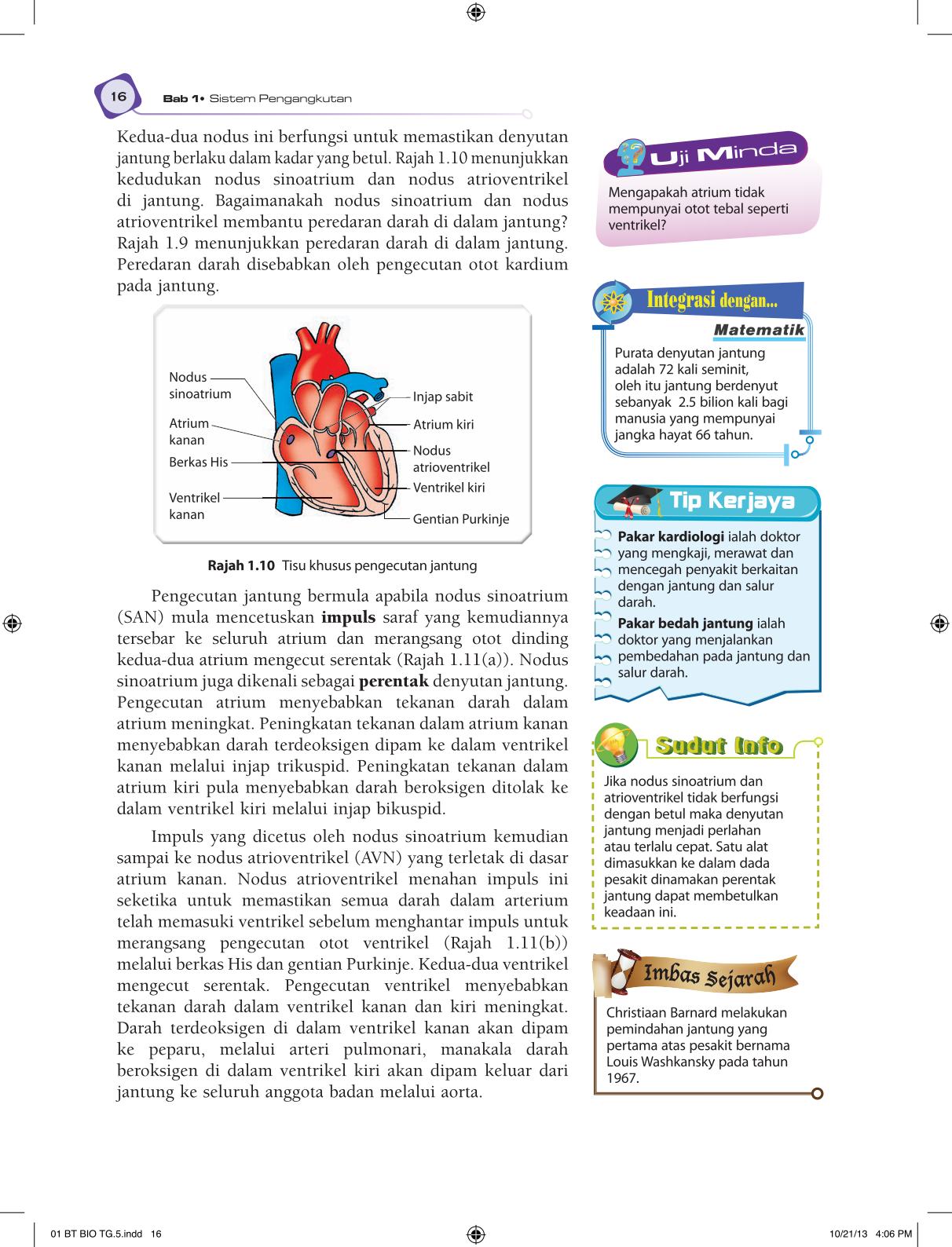 T5 : Biology TB BM Page28