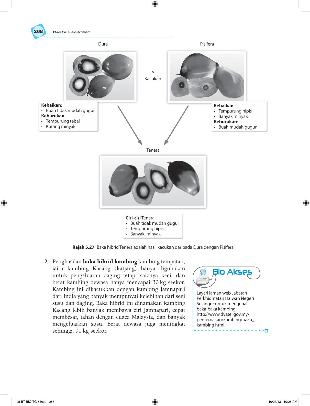 T5 : Biology TB BM Page280