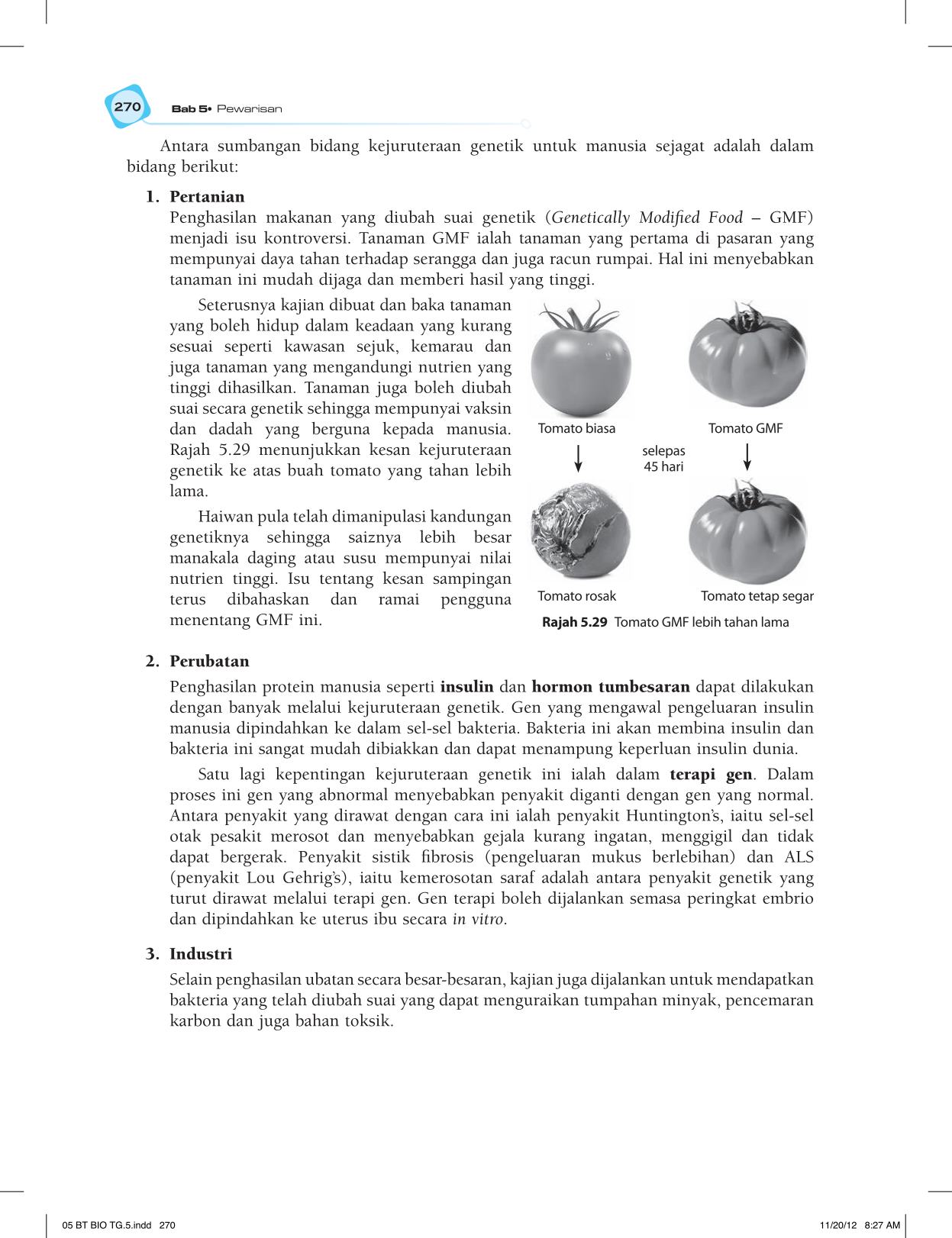 T5 : Biology TB BM Page282