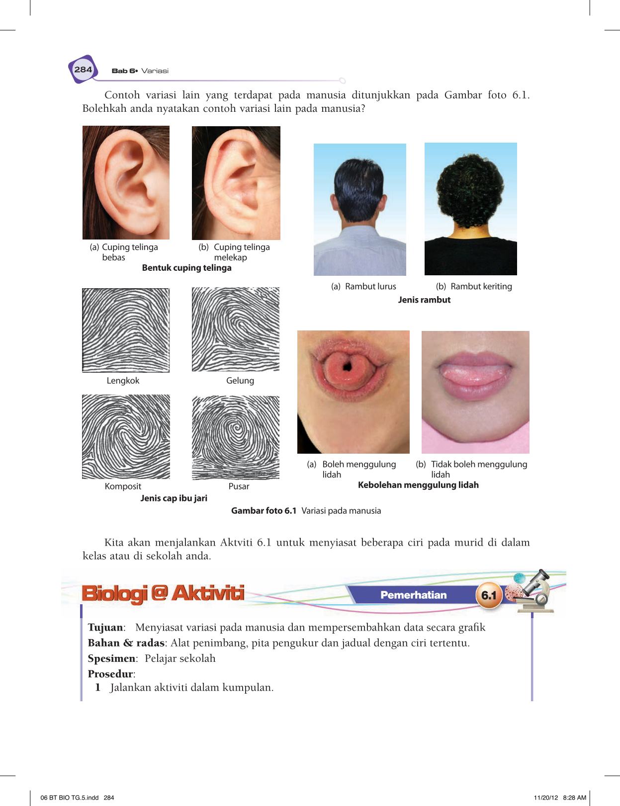 T5 : Biology TB BM Page296
