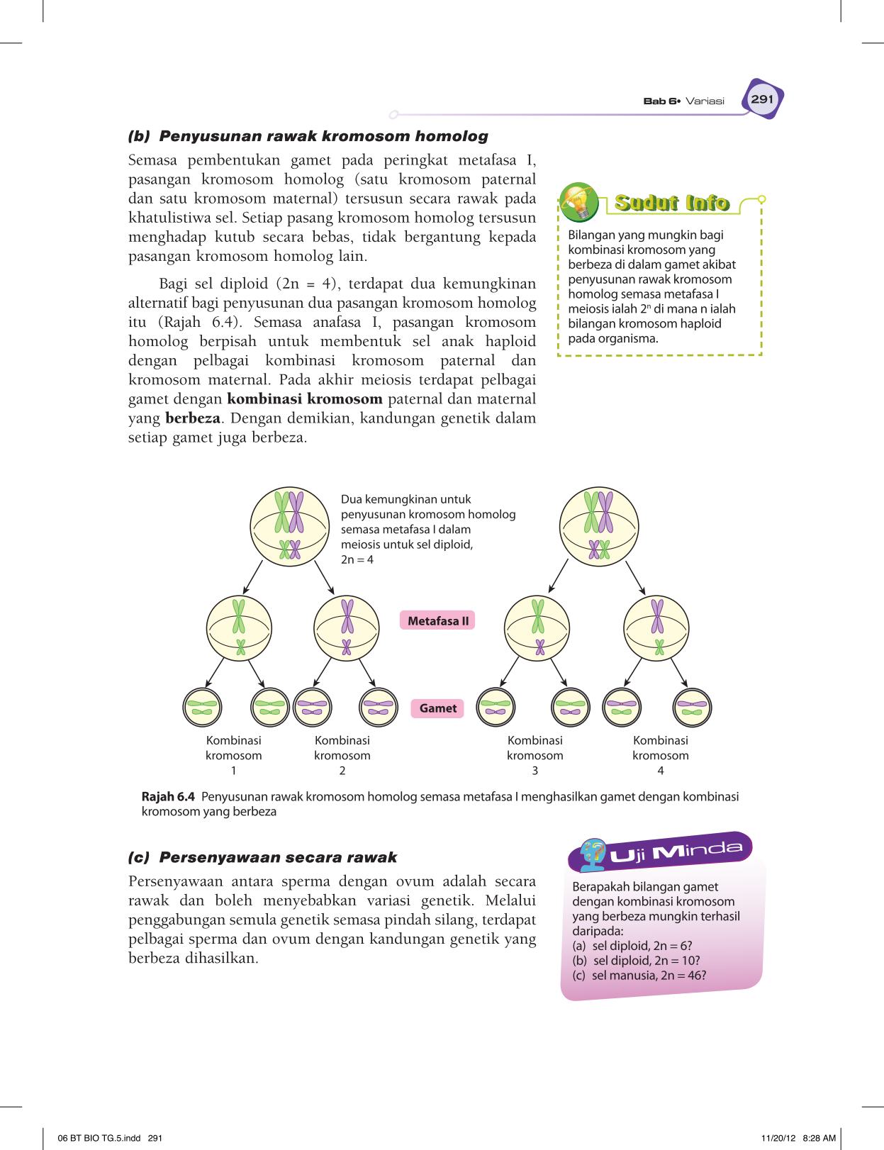 T5 : Biology TB BM Page303