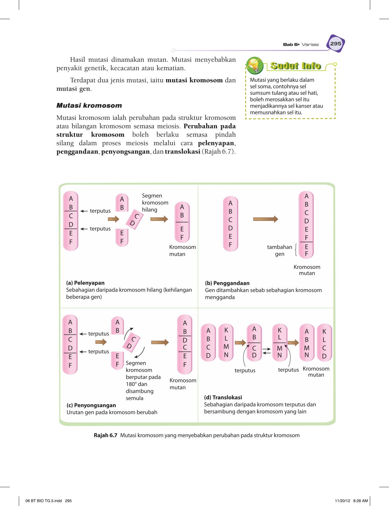 T5 : Biology TB BM Page307