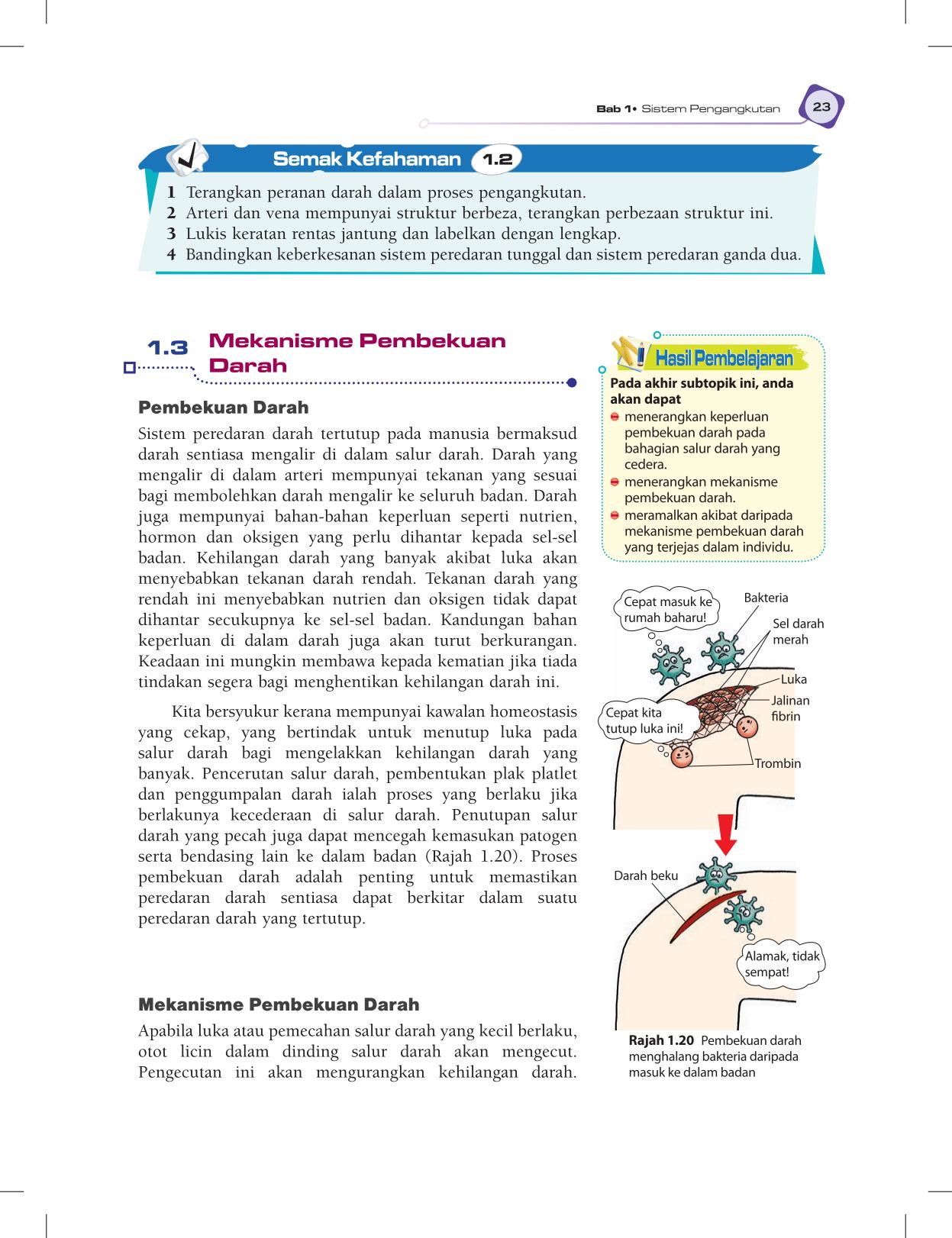 T5 : Biology TB BM Page35