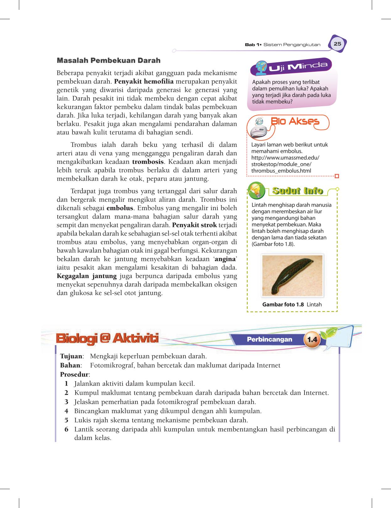 T5 : Biology TB BM Page37