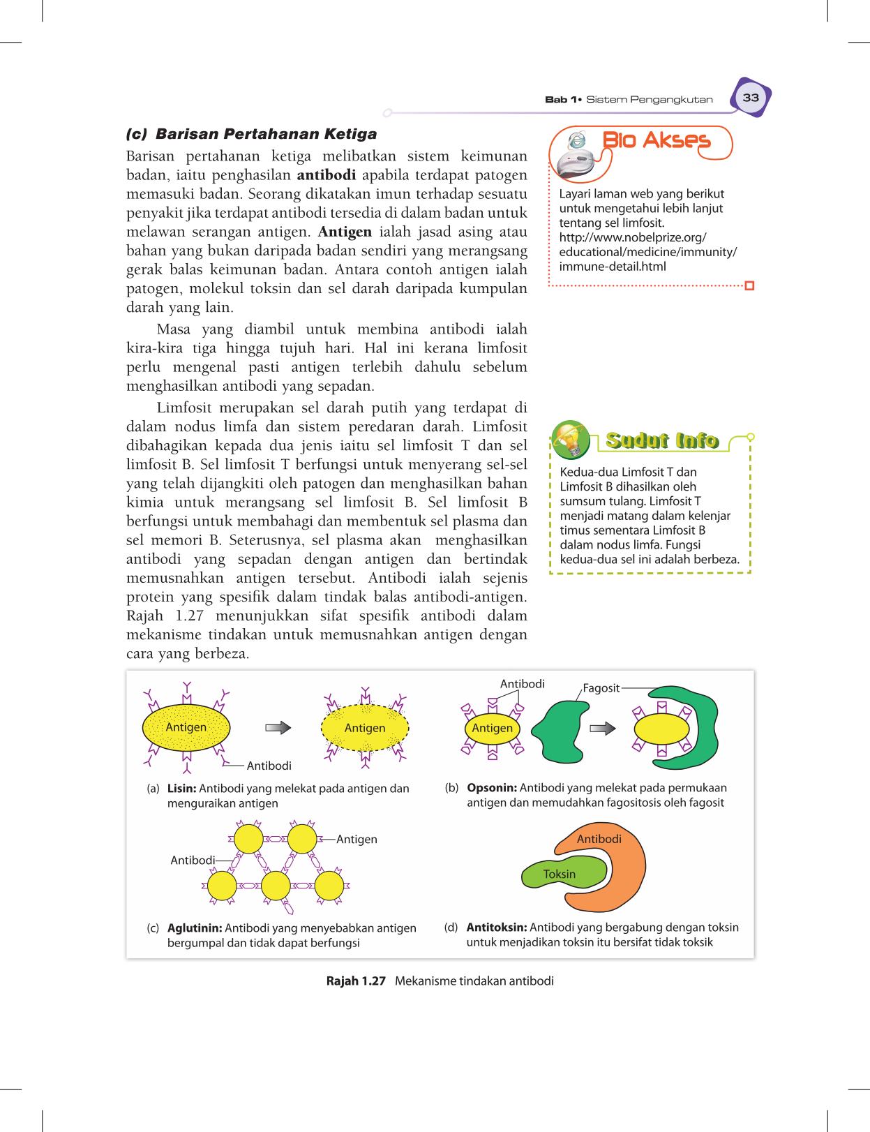 T5 : Biology TB BM Page45