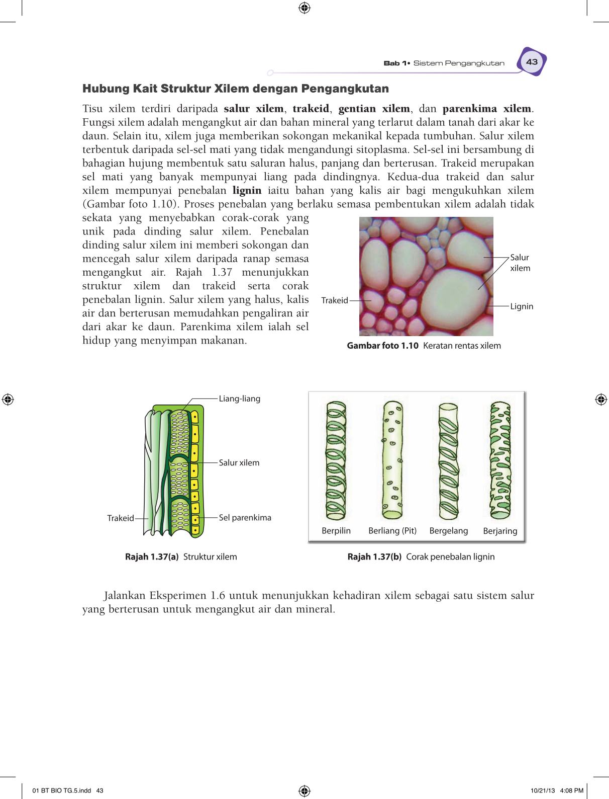 T5 : Biology TB BM Page55