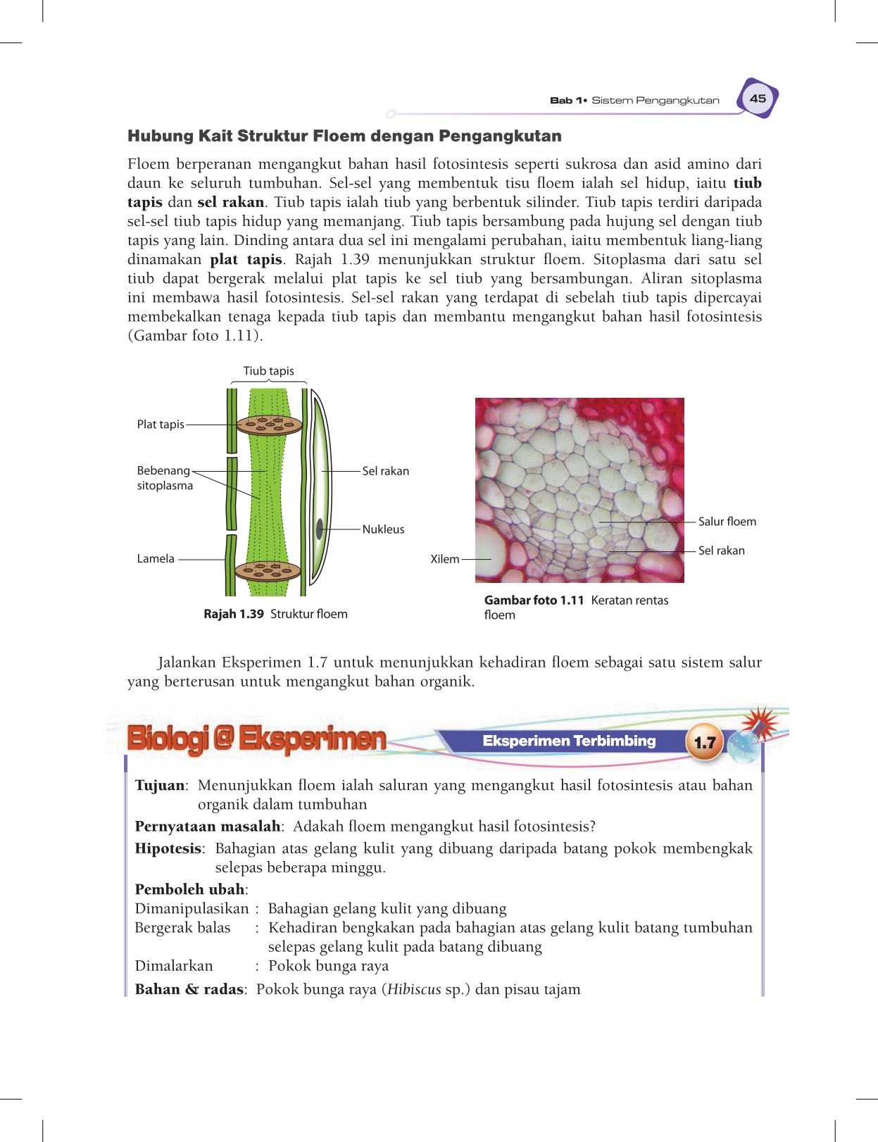 T5 : Biology TB BM Page57
