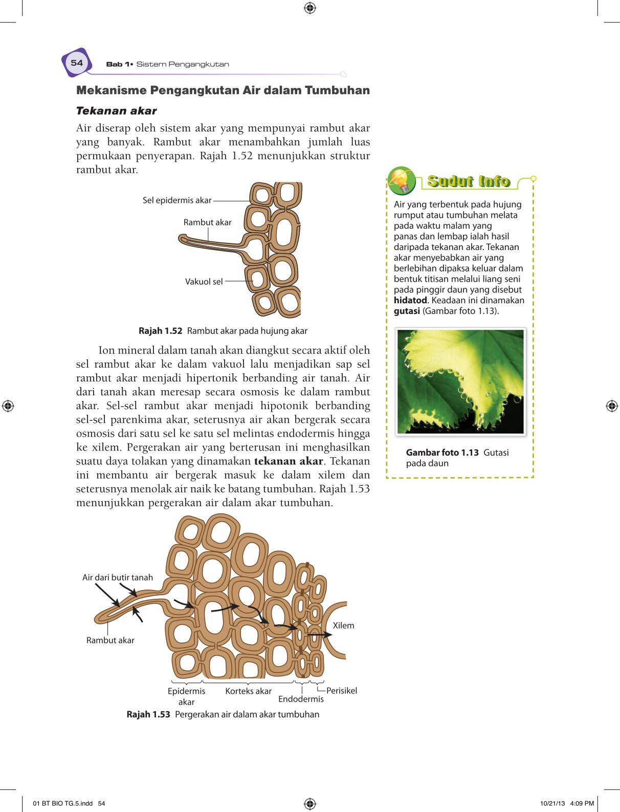 T5 : Biology TB BM Page66