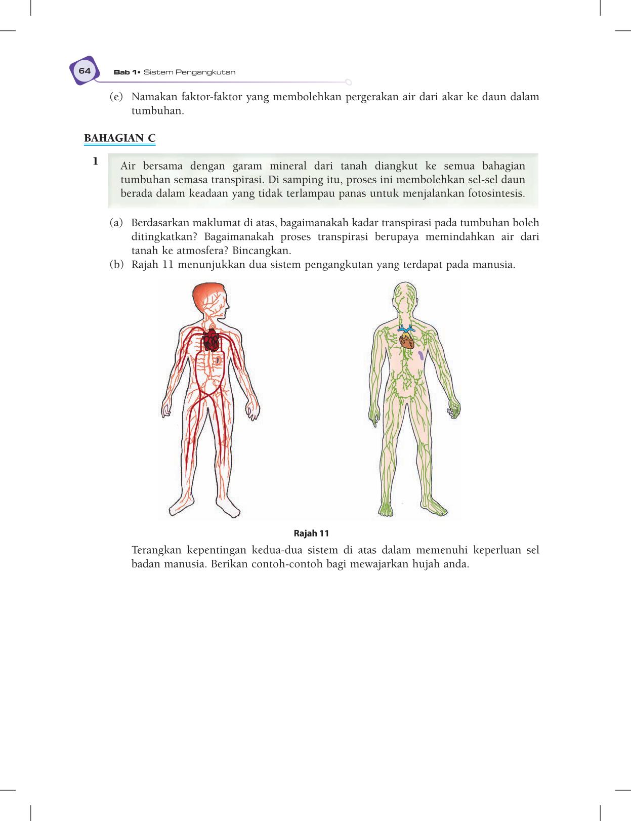 T5 : Biology TB BM Page76