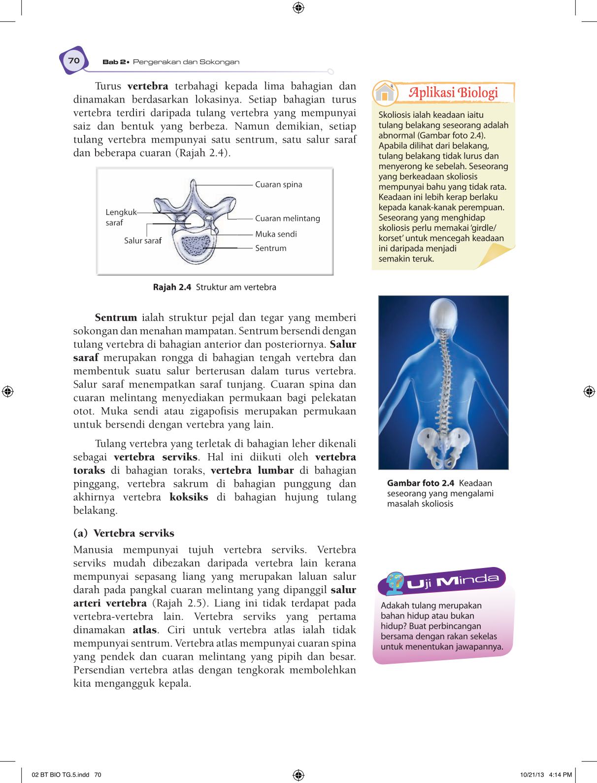T5 : Biology TB BM Page82