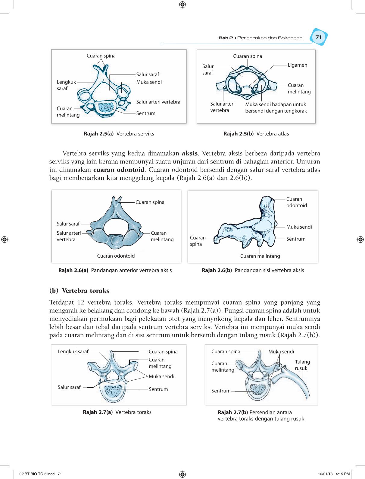 T5 : Biology TB BM Page83