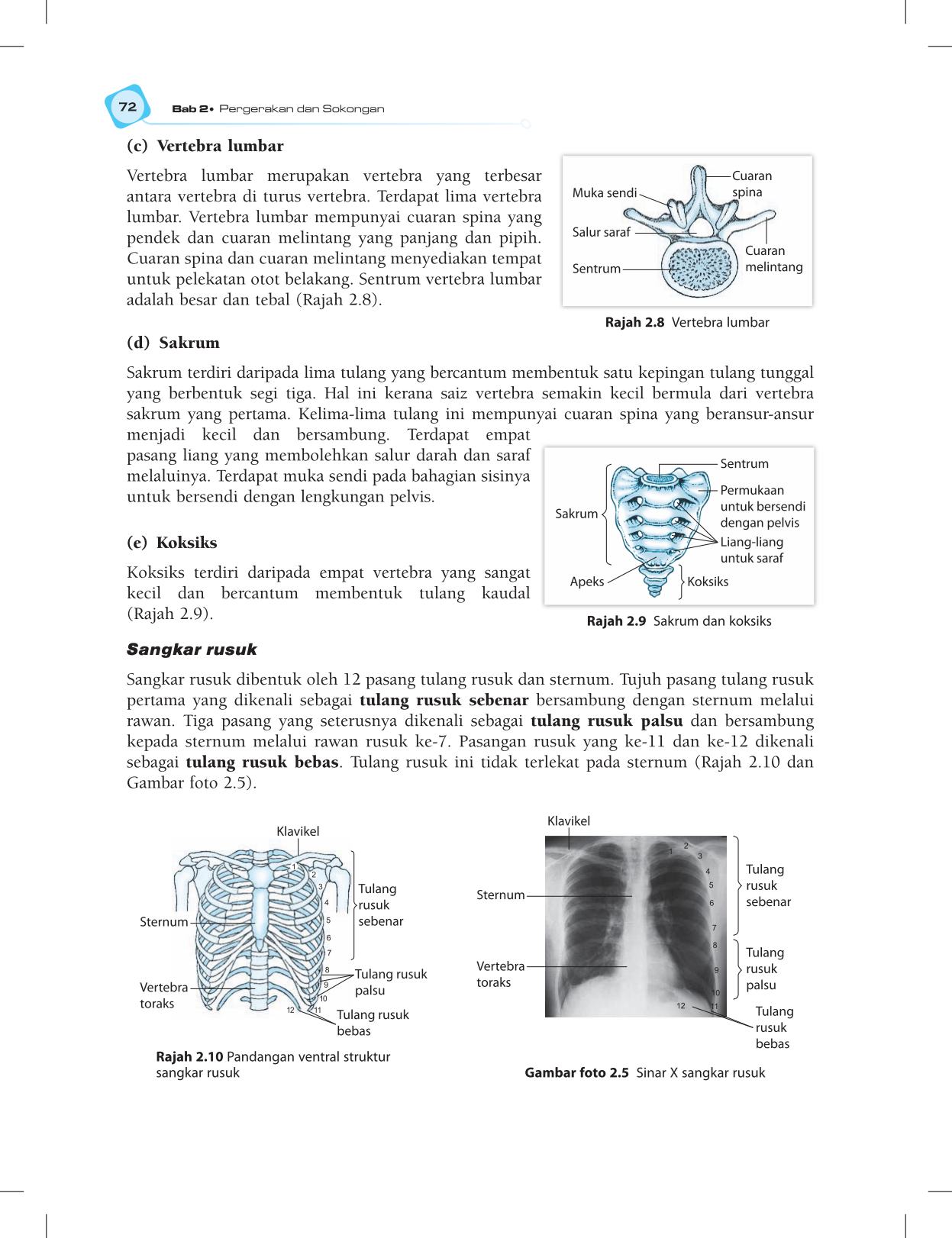 T5 : Biology TB BM Page84